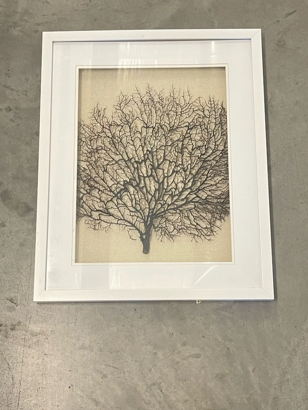 ✨ Faux Black Sea Fan Coral Framed Wall Art Set of 2 Coastal Boho Decor ✨